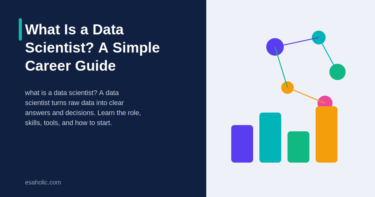 what is a data scientist